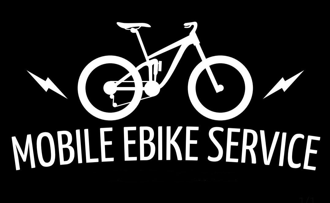 Electric 2024 bike service